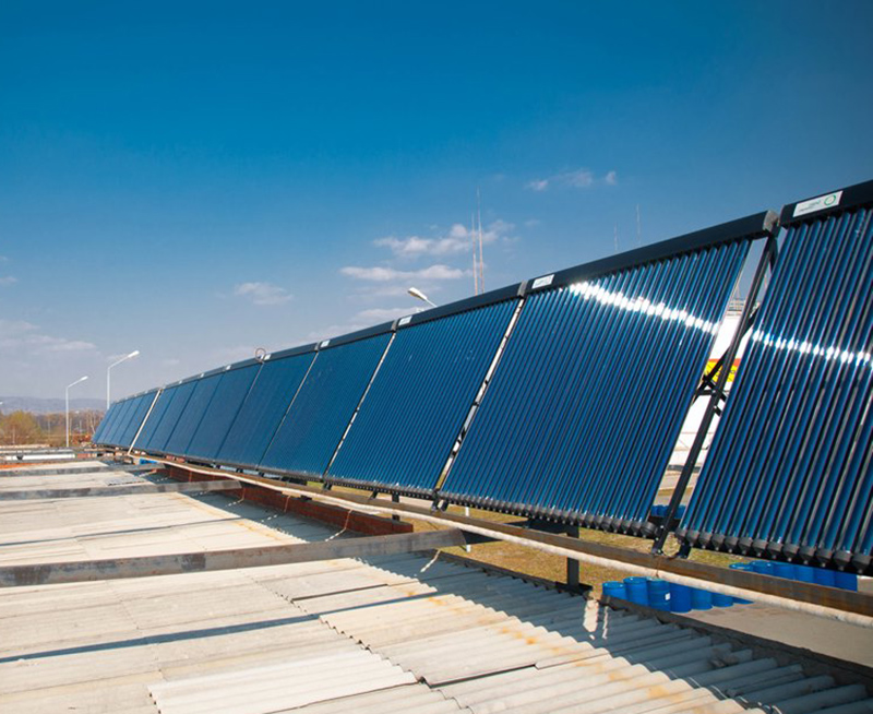 Hair-Care Website Template